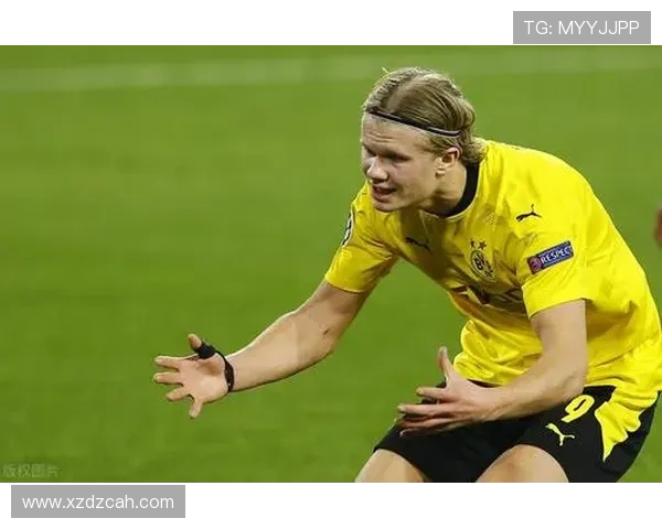 劳塔罗与理查利森对比：现代中锋的终结效率与战术角色差异