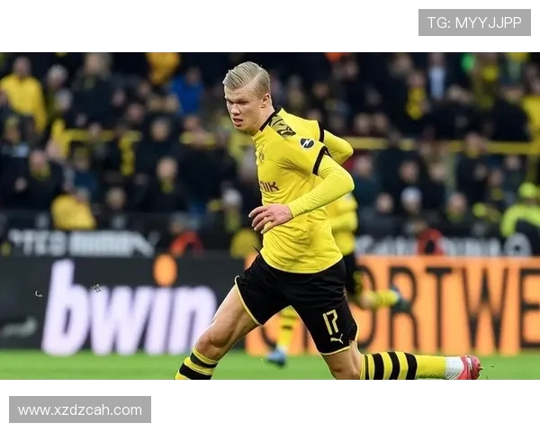 哈兰德强强对话隐身原因:终结效率与战术适配分析 哈兰德强强对话隐身原因:终结效率与战术适配分析