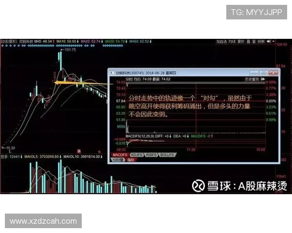 萨卡高开低走？成长轨迹与稳定性分析