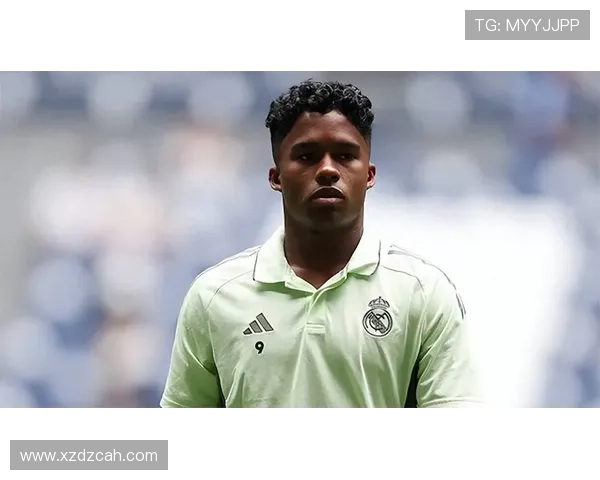 恩德里克帕尔梅拉斯早期荣誉解析